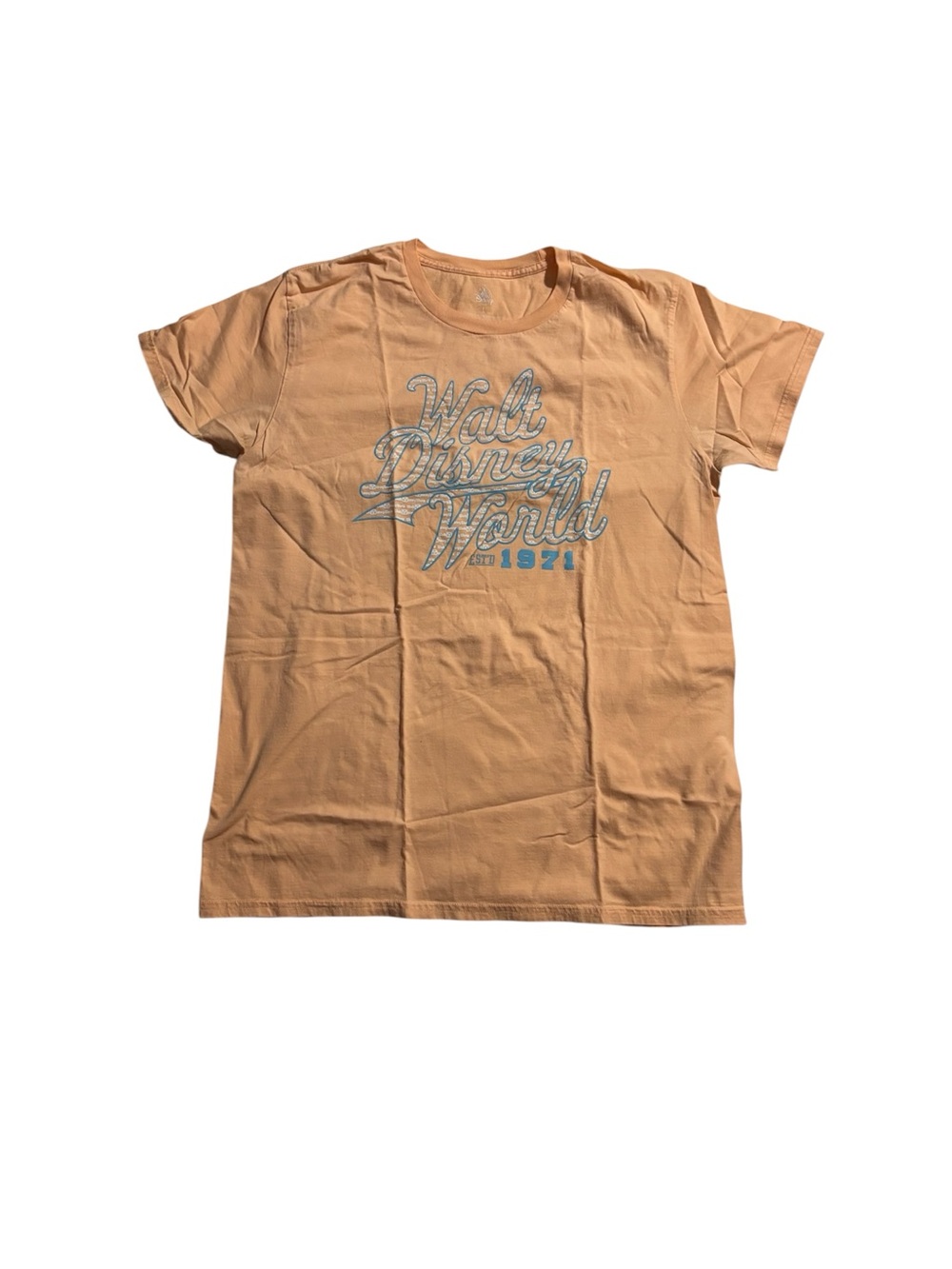 Disney Peach Short Sleeve Walt Disney World Graphic Tee